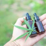 Cannabis: Uma revolução na Medicina