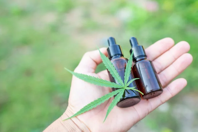 Cannabis: Uma revolução na Medicina