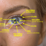 Glaucoma: Um silêncio perturbador