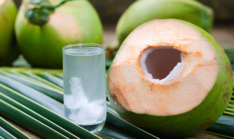A inovação que vem do coco