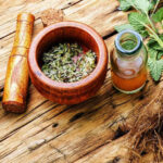 A riqueza das plantas na Terapia Medicinal