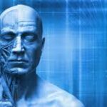Ser humano: Qual sua função?