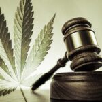 Judicialização de olho na Cannabis