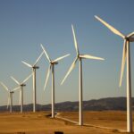 Alagoas de olho no futuro energético