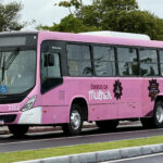 Sucesso: Ônibus rosa em Maceió