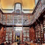 Bibliotecas públicas e o cidadão