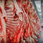 Carne, o primeiro item proibido pelo acordo Mercosul/UE